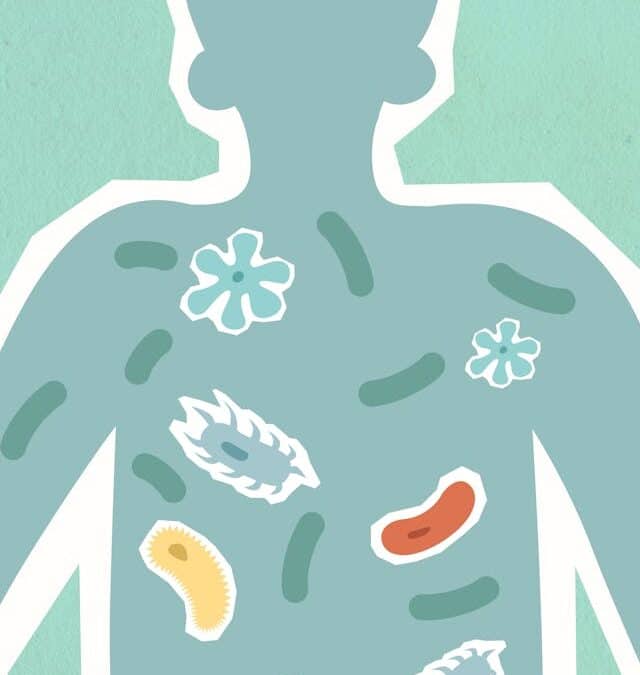 Deep Healing with Homeopathic Bowel Nosodes: A Mental, Emotional, and Physical Perspective